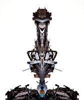 Totem 01
