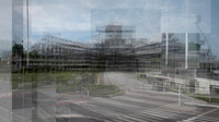 Temporal Parallax 1 (200 x 114 cm)